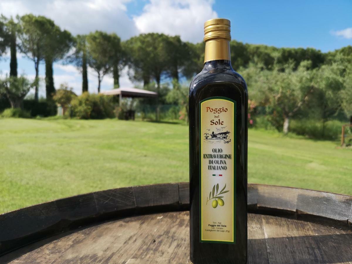 Willa Poggio Del Sole Castiglione del Lago Zewnętrze zdjęcie